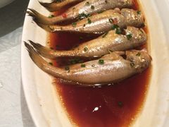 梅子鱼-骏莱海鲜鱼港(五角场店)