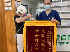 -爱侣宠医·鹦鹉专科·小型哺乳类·异宠专科(灵石路店)