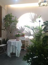 -芳香乐府SPA·五行芳疗