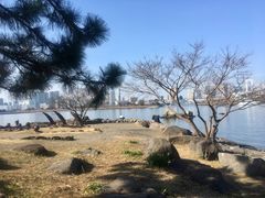-台场海滨公园船码头