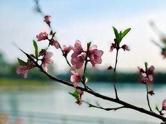 -美兰湖景区