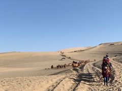 -青藏高原自然博物馆
