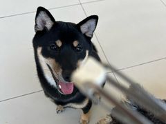 -怪兽屋·羊驼·猫咖·狗咖(俊华广场店)