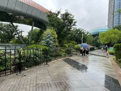 -北外滩滨江绿地