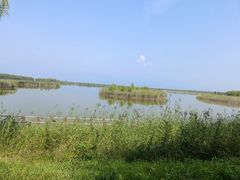 -野鸭湖国家湿地公园