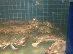 -喜来酌海鲜·饺子(和平一店)