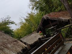 -崇阳三特浪口温泉