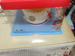 -维尔纳斯·生日蛋糕·动物奶油冰淇淋蛋糕(六里桥店)