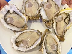 -千岛蚝高压锅生蚝·人参火锅(白云万达店)