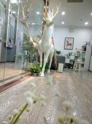 点击看大图 -时间海科学美容