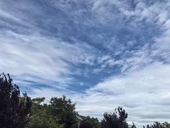 -秦岭风景区