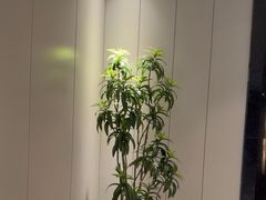 -东方威尼斯温泉酒店
