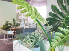 -塔拉苏咖啡(中信丹阳花园店)