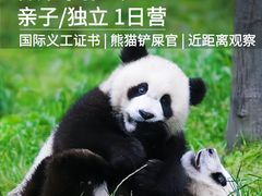 -都江堰中华大熊猫苑