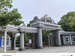 -燕鸣岛