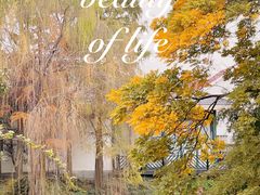 -上海银珠苑度假村-地面停车场