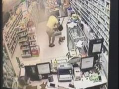 盛京一禾-盛京一禾