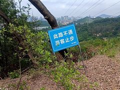 -中山市树木园