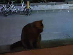 -元氏钵仔糕(北京路店)
