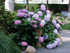 -常州古运河南大街文化旅游区-人民公园