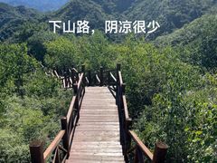 -大岭沟猕猴桃谷风景区