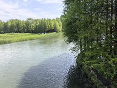 -溱湖国家湿地公园