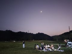 -风云岭森林公园