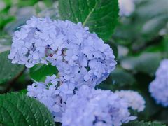 -常州古运河南大街文化旅游区-人民公园