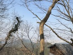 -灵顺寺
