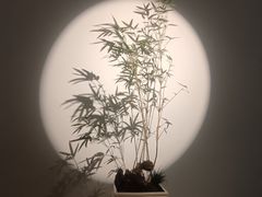 -武汉美术馆(汉口馆)