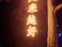 -印象普陀