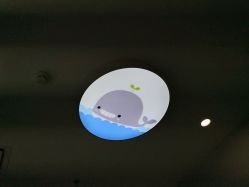 -青苗儿童口腔(长楹天街购物中心)