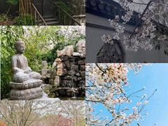 -嵖岈山风景区