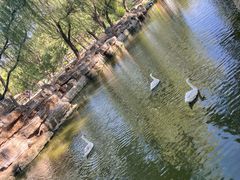 -石家庄市动物园