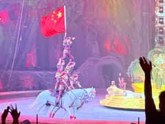 -广州长隆国际大马戏