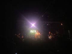 -坚果NUTS