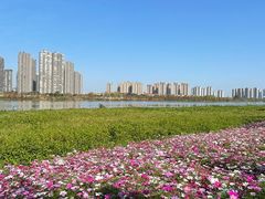 -文华公园(禅城区)