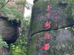 -汤旺河林海奇石景区