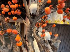 -望江门小龙虾(胜利河美食街店)