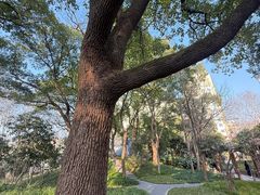 -徐家汇源景区-衡山公园