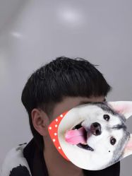 -YESIDO椰岛造型