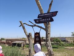 -水洞沟旅游区