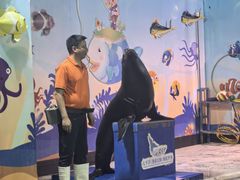 -太平洋海底世界