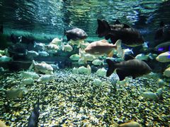 -成都浩海立方海洋公园