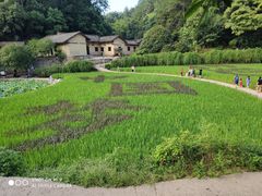 -韶山毛泽东同志故居