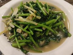 扇贝茼蒿-燕青小馆(东园大厦店)