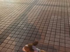 -A+摄影