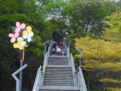 -佛山华盖山公园