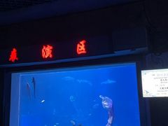 -太平洋海底世界