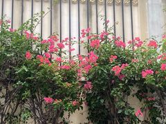 -二沙岛艺术公园